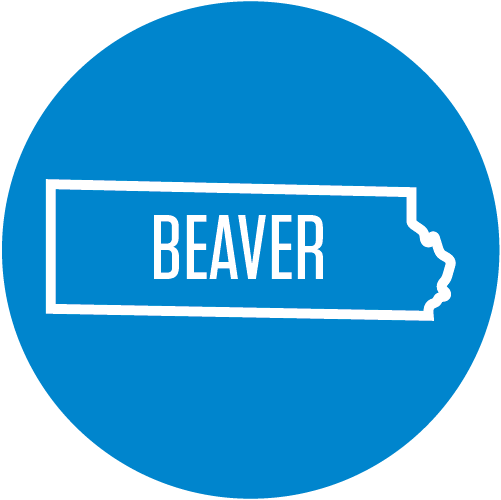 Beaver County Icon