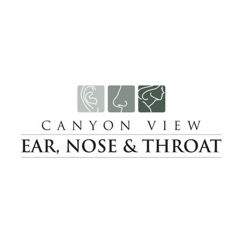 Canyon View ENT Logo